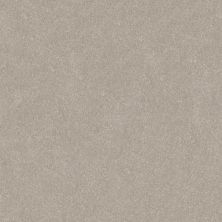 Shaw Floors Abbey&ftg Pet Perfect Take Notice II 15 Sculpture 00115_7J0L9