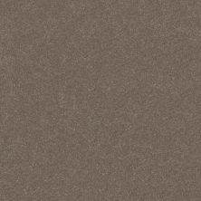 Shaw Floors Abbey&ftg Pet Perfect Take Notice III 12 Cobblestone 00750_7J0M0