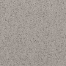 Shaw Floors Abbey&ftg Pet Perfect Very Social Gravity 00556_7J0M8