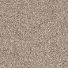 Shaw Floors Welcome Sight True Tan 00720_7J0P7