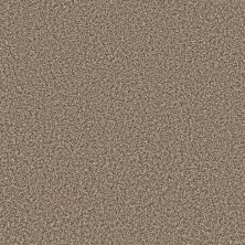 Shaw Floors Trader Bay Suede Buff 00111_7L0D7