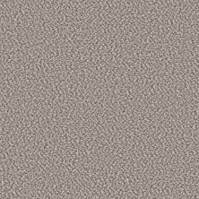 Shaw Floors Trader Bay Canvas 00130_7L0D7