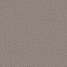 Shaw Floors Trader Bay Clam Shell 00530_7L0D7