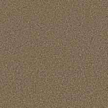 Shaw Floors Trader Bay Desert 00711_7L0D7