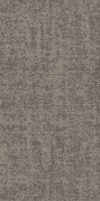 Philadelphia Commercial Core Elements Tile Santeen Tl Dolphin 33500_7N0C5