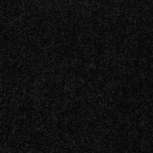 Shaw Floors Wave Party Coal Black 55502_7T295