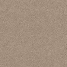 Shaw Floors Nationwide Fox Point 12′ Dove 55700_7X892