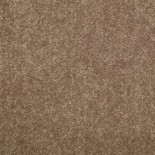 Shaw Floors Nationwide Fox Point 12′ Candied Truffle 55750_7X892