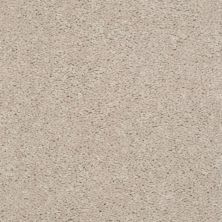 Shaw Floors Nationwide Fox Point 15′ Cashmere 55103_7X893