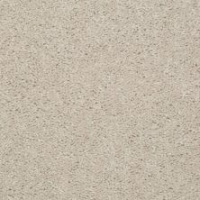 Shaw Floors Nationwide Fox Point 15′ Marble 55150_7X893