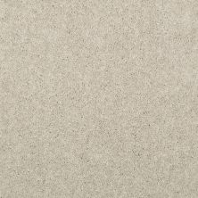 Shaw Floors Nationwide Fox Point 15′ Dove 55700_7X893