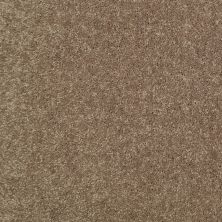Shaw Floors Nationwide Fox Point 15′ Driftwood 55720_7X893