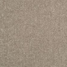Shaw Floors Nationwide Fox Point 15′ Taupe Mist 55792_7X893