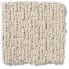Anderson Tuftex Nfa/Apg Powerful Art Chic Cream 812AG_00112