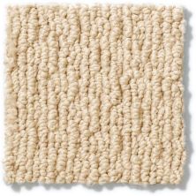 Anderson Tuftex Nfa/Apg Powerful Art Chamois 812AG_00221