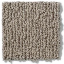 Anderson Tuftex Nfa/Apg Powerful Art Simply Taupe 812AG_00572