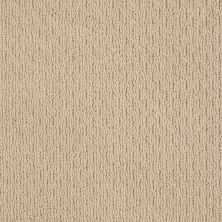 Anderson Tuftex Shaw Design Center Secret Star Baked Beige 00173_812SD