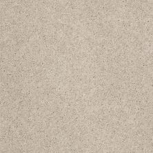 Anderson Tuftex SFA Go Ahead I Cement 00512_814SF