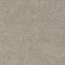Anderson Tuftex SFA Go Ahead I Silver Leaf 00541_814SF