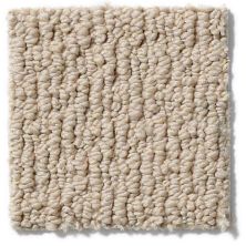 Anderson Tuftex Nfa/Apg Modern Creation Big City Beige 820AG_00172