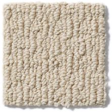 Anderson Tuftex Nfa/Apg Modern Creation Calm Cream 820AG_00222