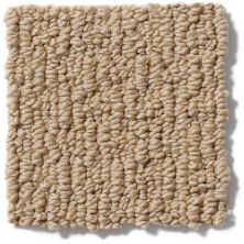 Anderson Tuftex Nfa/Apg Modern Creation Winter Wheat 820AG_00724