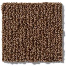 Anderson Tuftex Nfa/Apg Modern Creation Modern Brown 820AG_00728