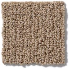 Anderson Tuftex Nfa/Apg Modern Creation Bali Sand 820AG_00782