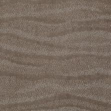 Anderson Tuftex Shaw Design Center Waterford Simply Taupe 00572_822SD