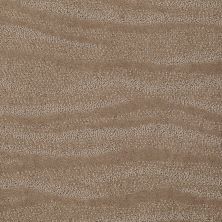 Anderson Tuftex SFA Ocean Bliss Sable 00754_822SF