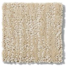 Anderson Tuftex Stainmaster Flooring Center New Deal Ivory Oats 829DF_00213