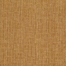 Anderson Tuftex Shaw Design Center Modern Glamour Amber Grain 00226_830SD