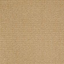 Anderson Tuftex SFA Vista Drive Daybreak Yellow 00222_861SF