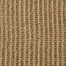 Anderson Tuftex SFA Vista Drive Gold Ambition 00225_861SF