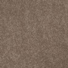 Anderson Tuftex Candor Misty Taupe 00575_866DF