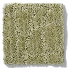 Anderson Tuftex Naturally Yours Woven Reed 869DF_00313