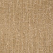 Anderson Tuftex Shaw Design Center Exclusive Style Crushed Cashew 00263_869SD