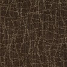Anderson Tuftex Shaw Design Center Exclusive Style Mineral 00579_869SD
