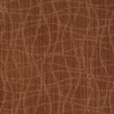 Anderson Tuftex Shaw Design Center Exclusive Style Brushed Clay 00685_869SD