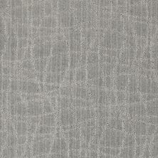 Anderson Tuftex SFA Hidden Dreams Polished Silver 00542_869SF