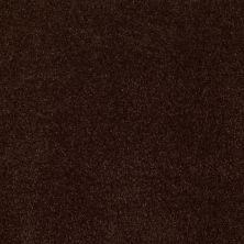 Anderson Tuftex SFA Sleek Silhouette Chestnut 00778_872SF