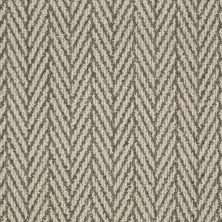 Anderson Tuftex Exceptional Windsor Gray 00758_877CP