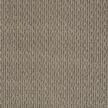Anderson Tuftex Nfa/Apg Healing Effect Simply Taupe 00572_883AG