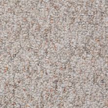 Shaw Floors Toll Brothers HS/Tuftex Tb Significance 12′ Cliff Side 00702_887TB