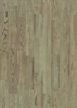 Shaw Floors Floorte Exquisite Brightened Oak 01057_FH820