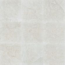 Shaw Floors Ceramic Solutions Crown 18 White 00100_225TS