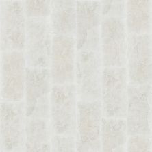 Shaw Builder Flooring Pulte Home Hard Surfaces Savannah 12×24 White 00100_PW884