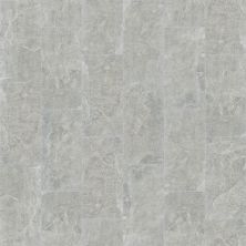 Shaw Builder Flooring Pulte Home Hard Surfaces Savannah 12×24 Grey 00500_PW884