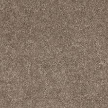 Anderson Tuftex Shaw Design Center Turn It Up II Simply Taupe 00572_942SD