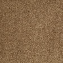 Anderson Tuftex SFA Go Ahead II Bronze Glow 00727_942SF